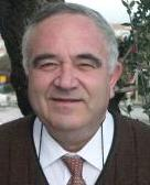 Ammatzia Peled, Technical Commission VIII of ISPRS