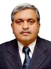 Vinay K. Dadhwal, Technical Commission VIII of ISPRS